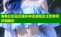 海角社区延迟退休申请流程及注意事项详细解析