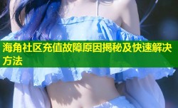 海角社区充值故障原因揭秘及快速解决方法