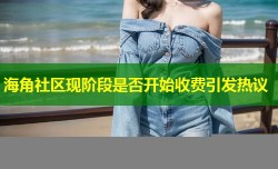 海角社区现阶段是否开始收费引发热议