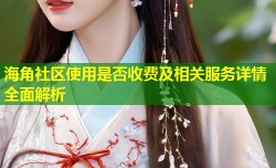海角社区使用是否收费及相关服务详情全面解析