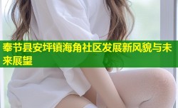 奉节县安坪镇海角社区发展新风貌与未来展望