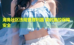 海角社区违规管理利器 实时监控保障安全