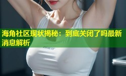 海角社区现状揭秘：到底关闭了吗最新消息解析