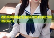 诸暨枫桥海角社区智慧治理平台助力和谐发展(1)