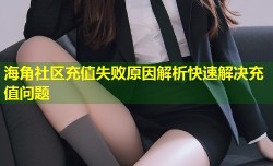 海角社区充值失败原因解析快速解决充值问题