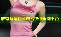 谁有海角社区域名快速查询平台