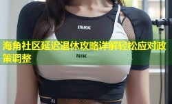 海角社区延迟退休攻略详解轻松应对政策调整