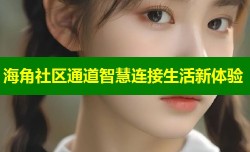 海角社区通道智慧连接生活新体验