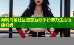 海辆海角社区智慧互联平台助力生活便捷升级