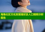 海角社区文化发展现状及人口规模分析报告
