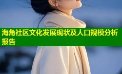 海角社区文化发展现状及人口规模分析报告