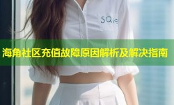 海角社区充值故障原因解析及解决指南