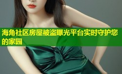 海角社区房屋被盗曝光平台实时守护您的家园