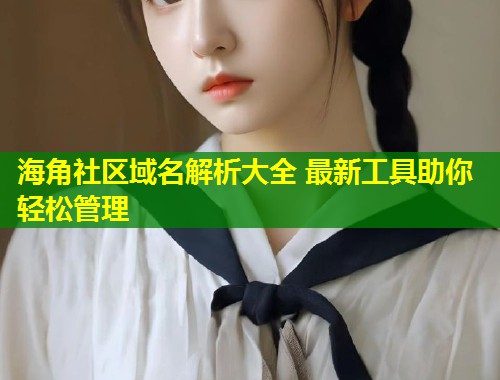 海角社区域名解析大全 最新工具助你轻松管理  第1张