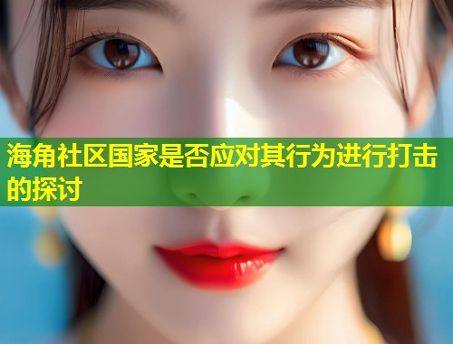 海角社区国家是否应对其行为进行打击的探讨  第2张