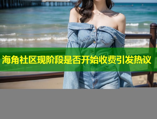 海角社区现阶段是否开始收费引发热议  第1张