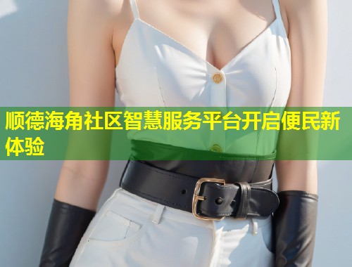 顺德海角社区智慧服务平台开启便民新体验  第2张