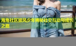 海角社区披风少年揭秘社交互动与成长之路